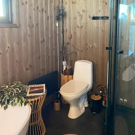 Original Trybo At Mountain *