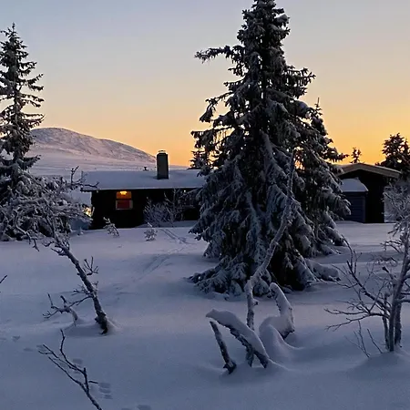 Original Trybo At Mountain