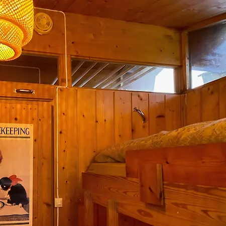 Original Trybo At Mountain