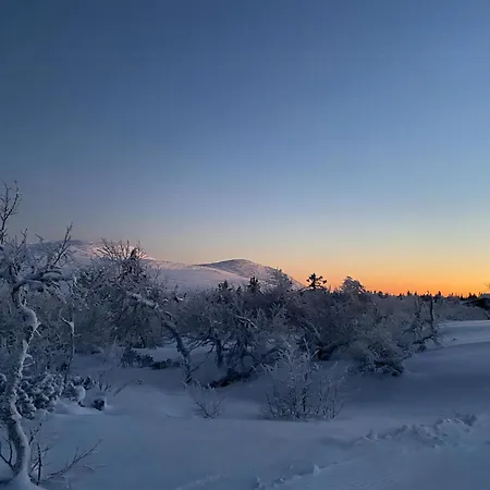 Original Trybo At Mountain * Trysil