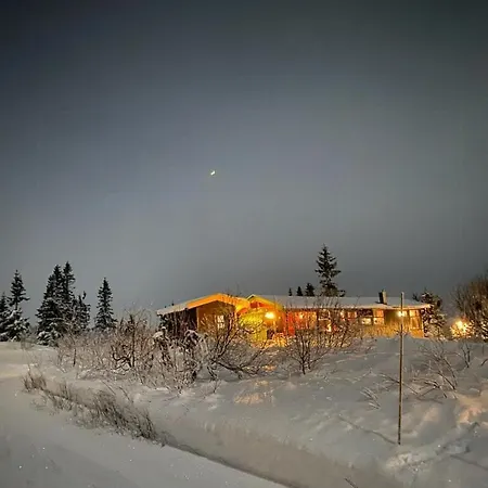 Feriehus Original Trybo At Mountain Trysil