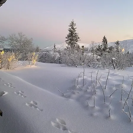 Feriehus Original Trybo At Mountain Trysil