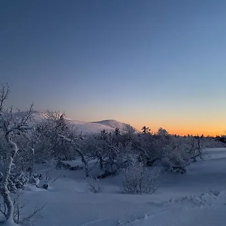 Original Trybo At Mountain * Trysil