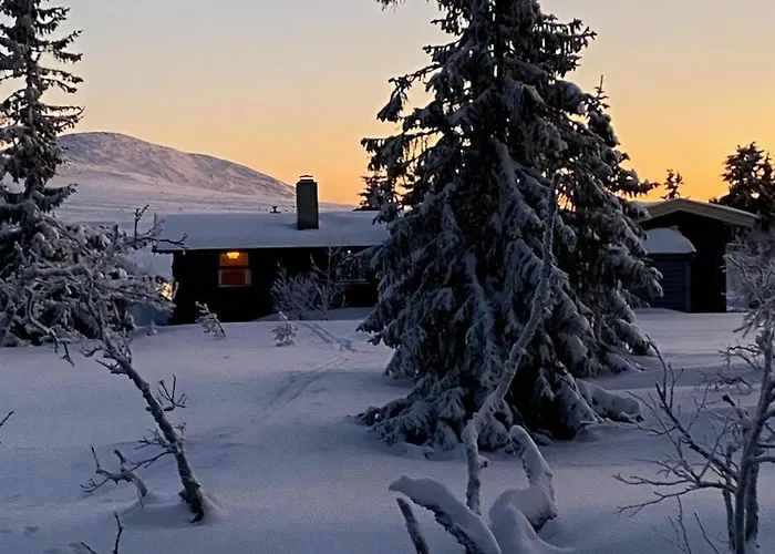 Original Trybo At Mountain