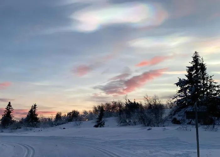 Original Trybo At Mountain * Trysil