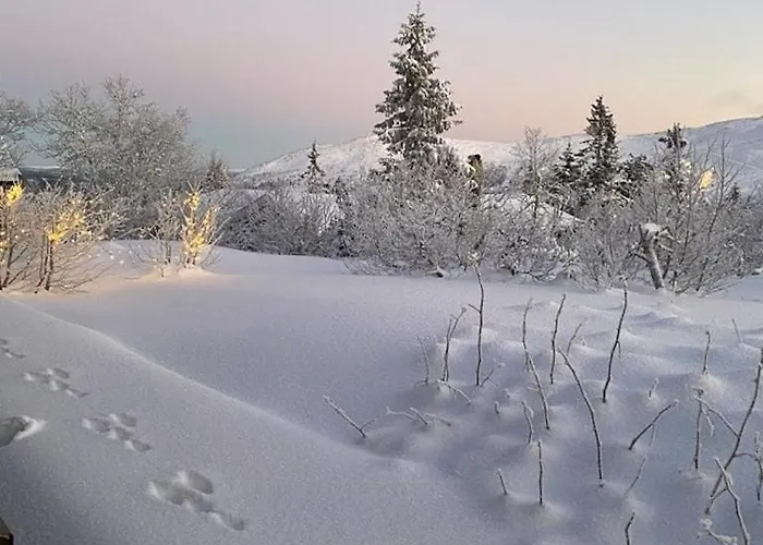 Feriehus Original Trybo At Mountain Trysil