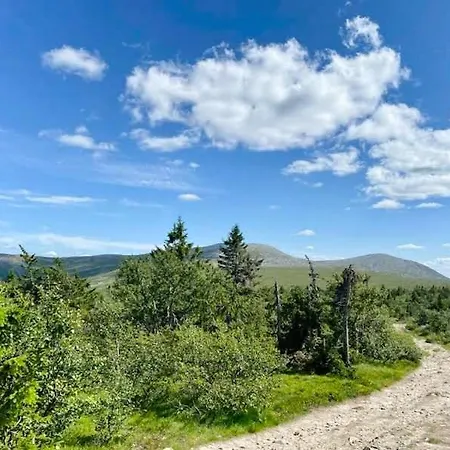 Original Trybo At Mountain Vakantiehuis